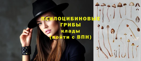 крисы Алексеевка