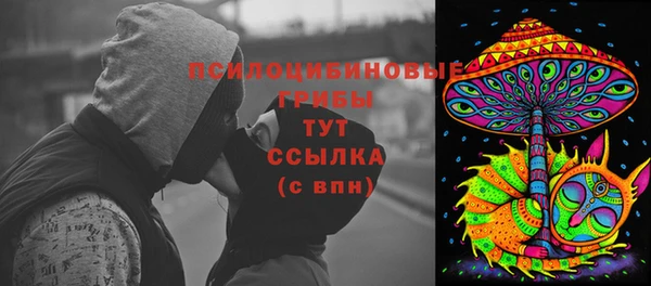крисы Алексеевка