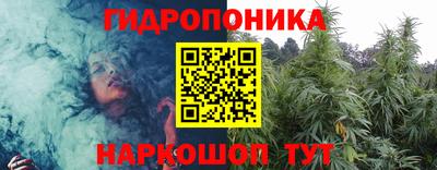 гашик Гатчина