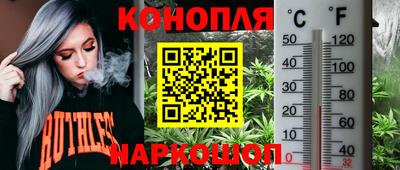 гашик Гатчина