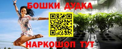 СК Гай