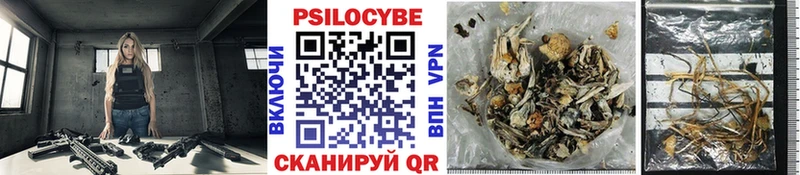 KRAKEN ONION  Лабытнанги  Псилоцибиновые грибы Psilocybe 